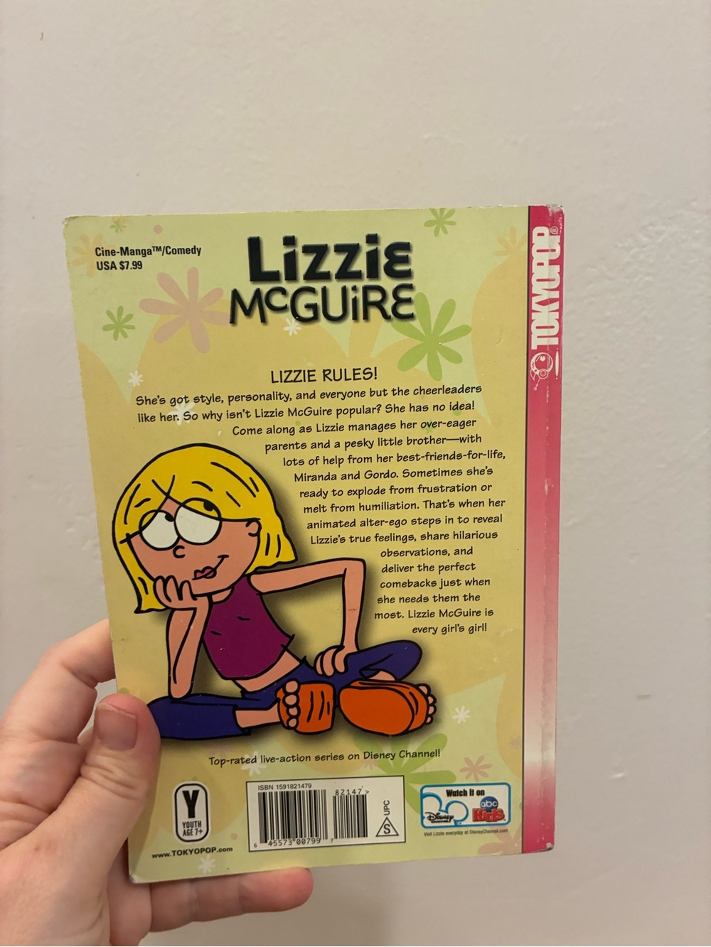 Lizzie McGuire Kids Book Collection Set of 10 Y2K early 2000s Disney - Picture 11 of 15